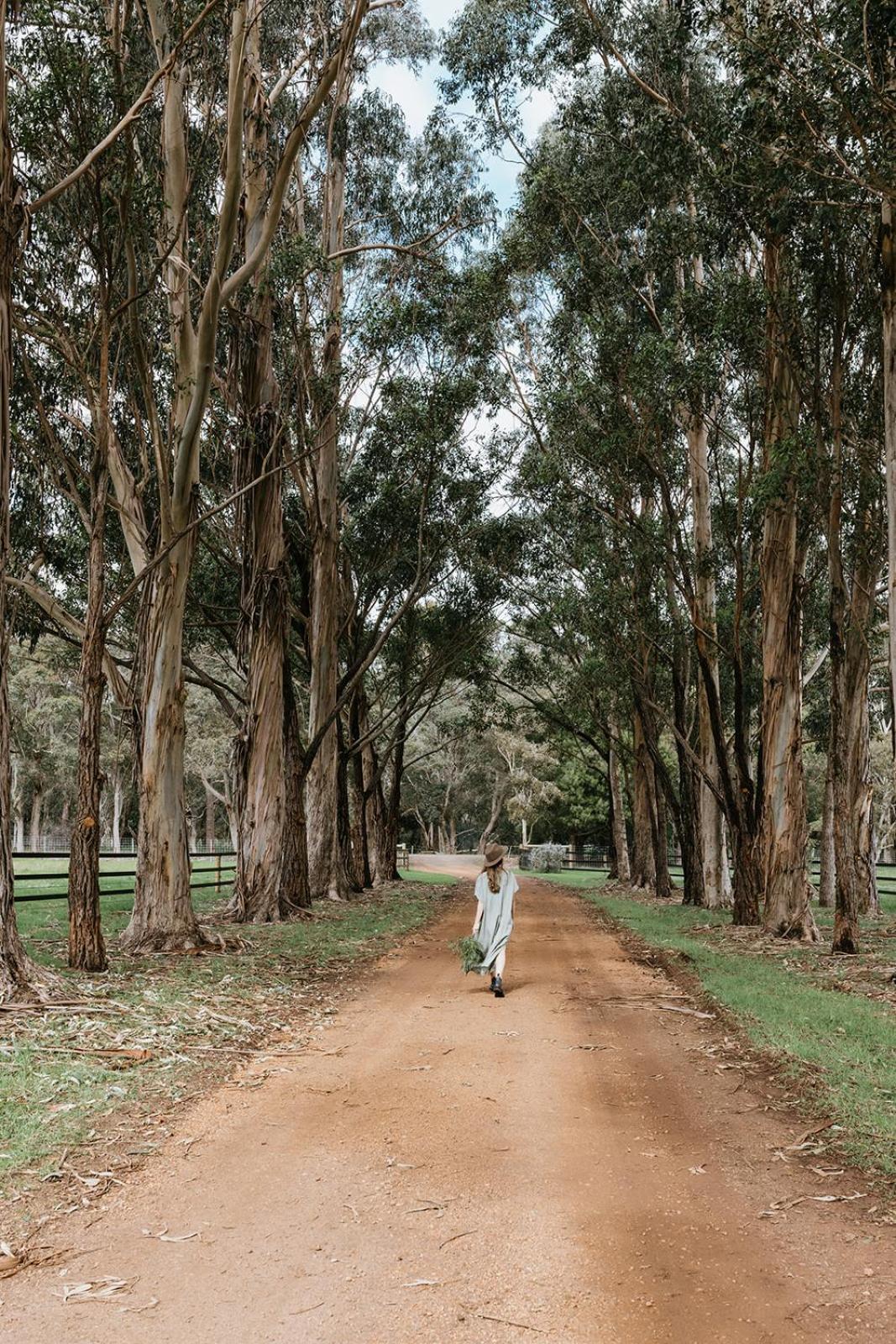 Chambre Estate Margaret River Εξωτερικό φωτογραφία